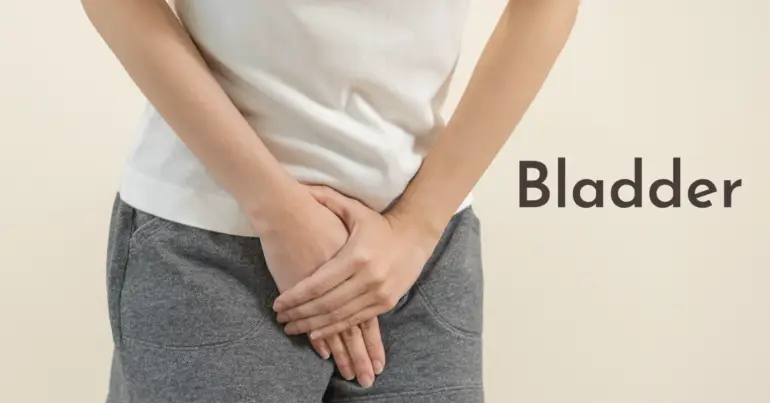 Bladder Leakage Incontinence Frequency